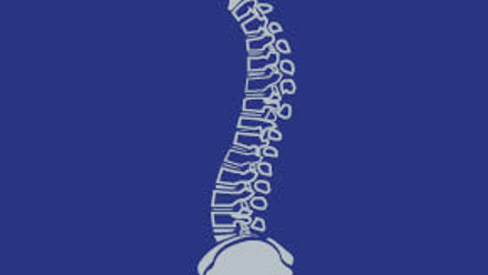 ICON_072_BLUE_290x212_6Spine.jpg