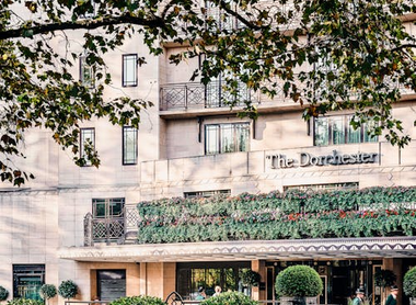 The Dorchester.png