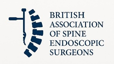Spine.jpg