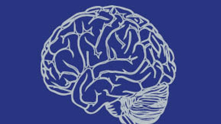 ICON_072_BLUE_290x212_5brain.jpg